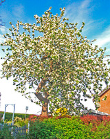 Ferienwohnung in S&uuml;ssau - Seeblick - Bild 24