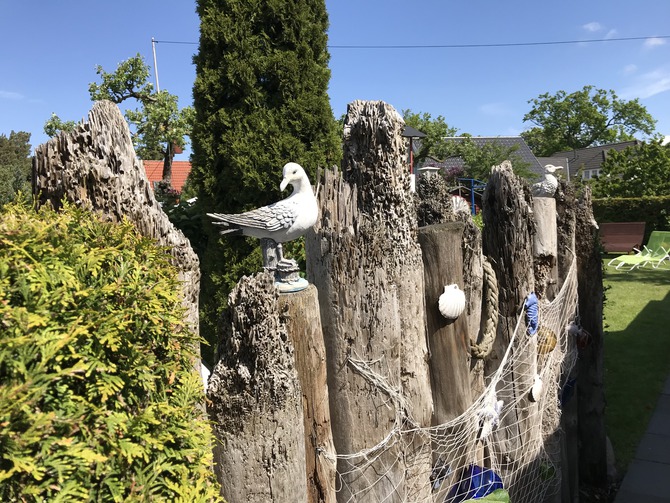 Ferienwohnung in Wieck a. Dar&szlig; - Haus Schumann - Bild 8