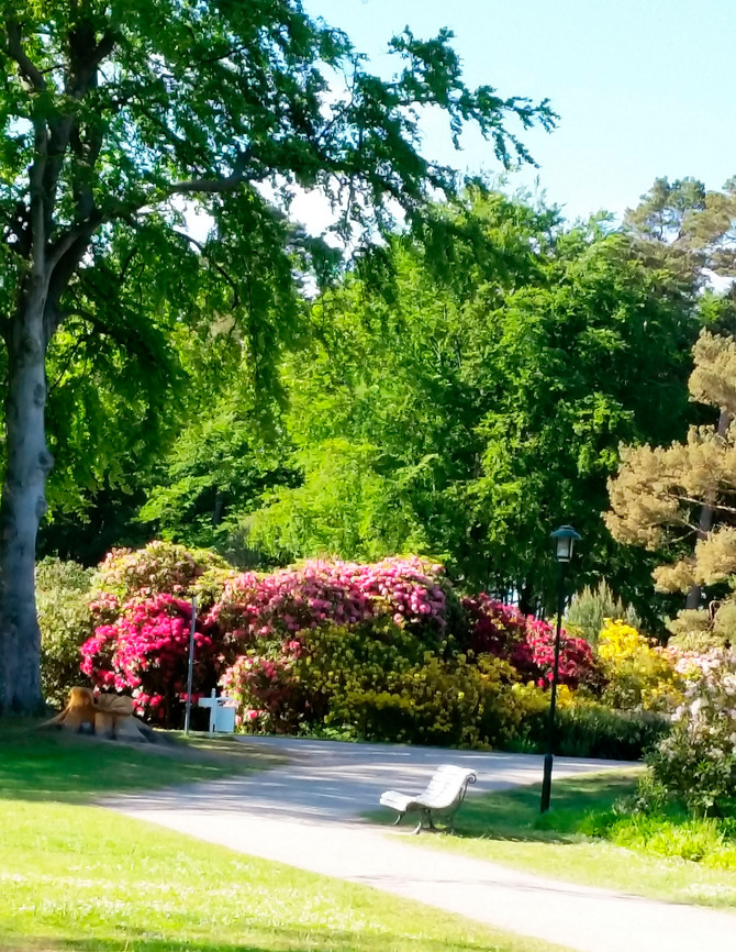Ferienwohnung in Graal-M&uuml;ritz - Stadtvilla - Bild 10