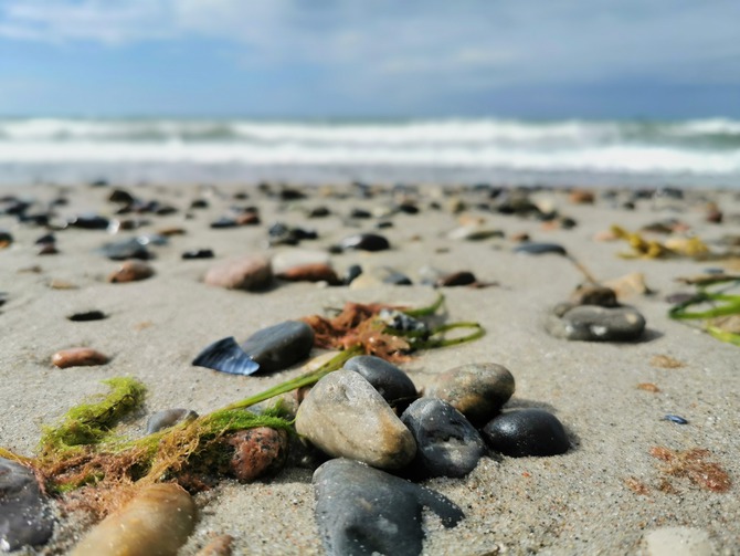 Ferienwohnung in B&ouml;rgerende - Appartement 3 - Sunshine - Naturstrand B&ouml;rgerende