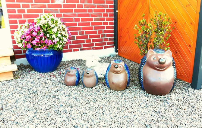 Ferienwohnung in S&uuml;ssau - Wiese - Bild 17