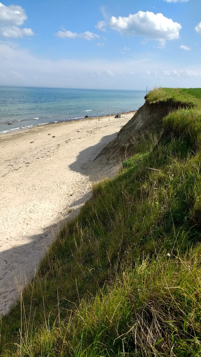 Ferienwohnung in S&uuml;ssau - Wiese - Bild 23