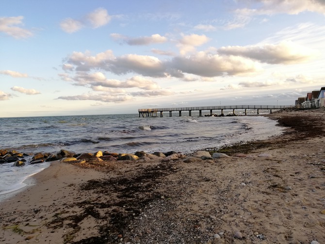 Ferienwohnung in S&uuml;ssau - Wiese - Bild 24