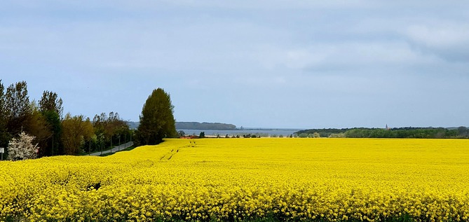 Ferienhaus in Te&szlig;mannsdorf - Ferienhaus Salzwiese - Auf dem Weg nach Te&szlig;mannsdorf