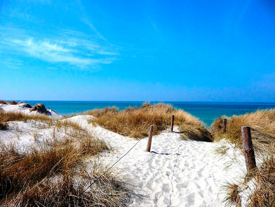 Ferienwohnung in Pruchten - Kleine M&ouml;we - Bild 3