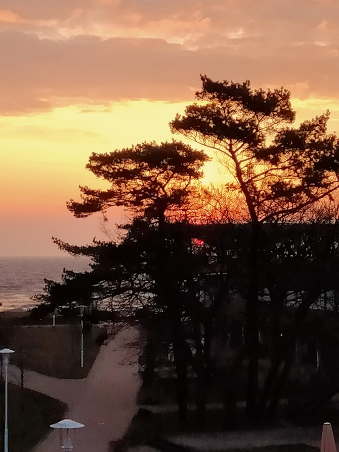 Ferienwohnung in Baabe - D&uuml;nenkieker - Bild 8