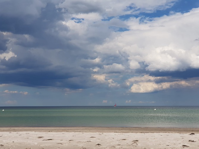 Ferienwohnung in K&uuml;kel&uuml;hn - Ferienhof Bl&ouml;hs - Bild 8