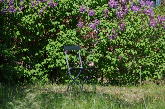 Ferienwohnung in Barh&ouml;ft - Lotsenwohnung - Lotsenhaus Barh&ouml;ft - Lotsenhaus - Garten