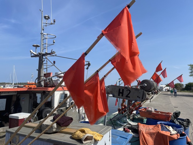 Ferienwohnung in Barh&ouml;ft - Matrosendeck - Lotsenhaus Barh&ouml;ft - Matrosendeckwohnung - Hafen Barh&ouml;ft