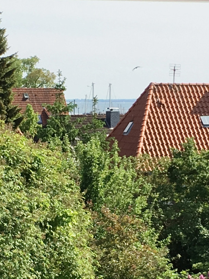 Ferienwohnung in Neustadt - M&ouml;wennest - Bild 7