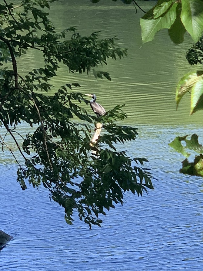 Ferienwohnung in Lassan - Haus Achterwasserm&uuml;cke - Bild 12