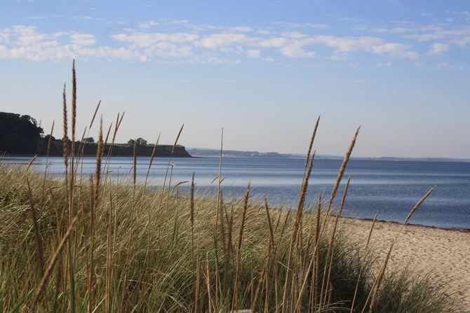 Ferienhaus in D&ouml;hnsdorf - Landhaus Unter dem Reetdach - Hohwachter Bucht