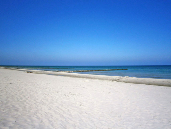 Ferienhaus in Fuhlendorf - Boddenblick 3 - Bild 11