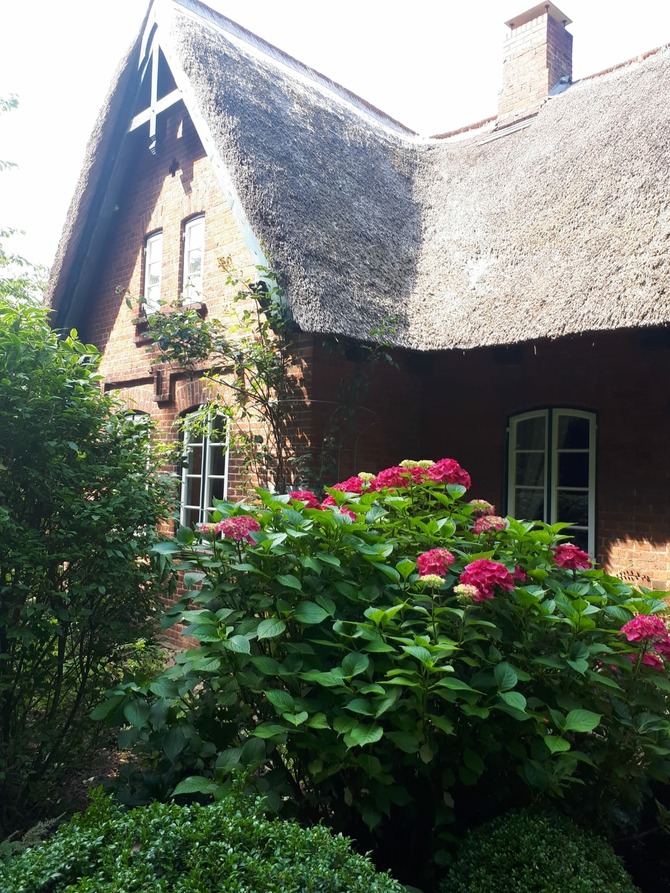 Ferienwohnung in Sch&ouml;nwalde - Reethaus Scheidekate - Bild 17