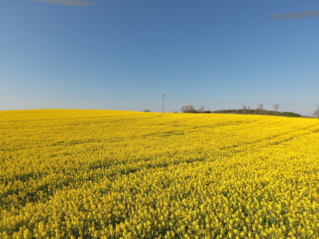 Ferienwohnung in Rabenkirchen-Faul&uuml;ck - Schleiblick App. 12 - Bild 12