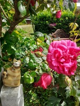 Ferienwohnung in Gro&szlig; Wittensee - Martens - Bild 5