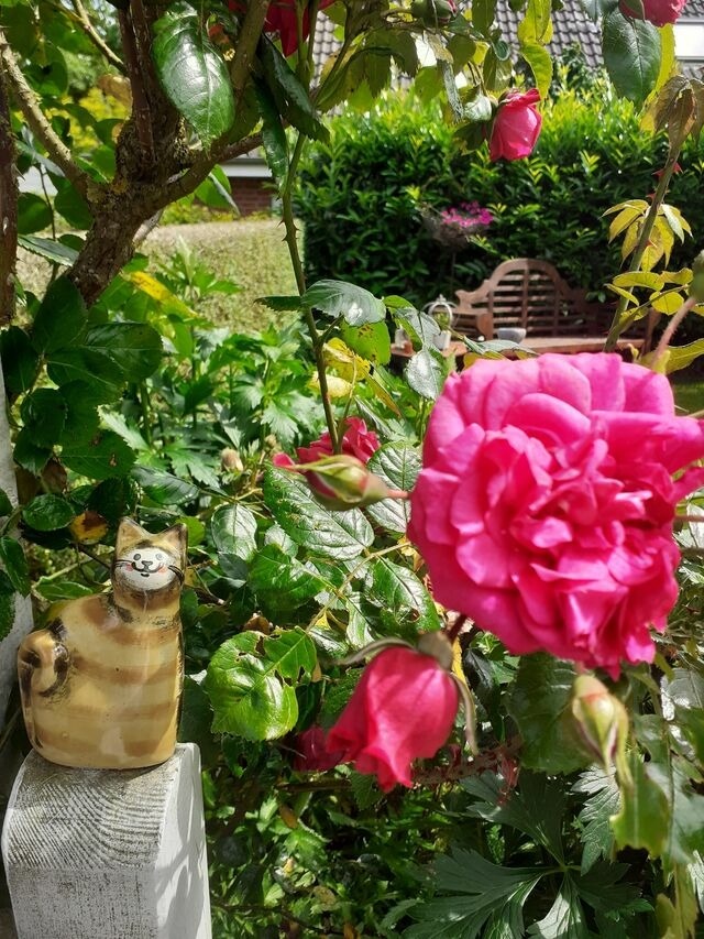 Ferienwohnung in Gro&szlig; Wittensee - Martens - Bild 5