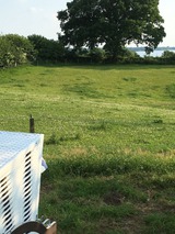 Ferienwohnung in Gro&szlig; Wittensee - Hoheluft am Wittensee Apt. 3 - Bild 15