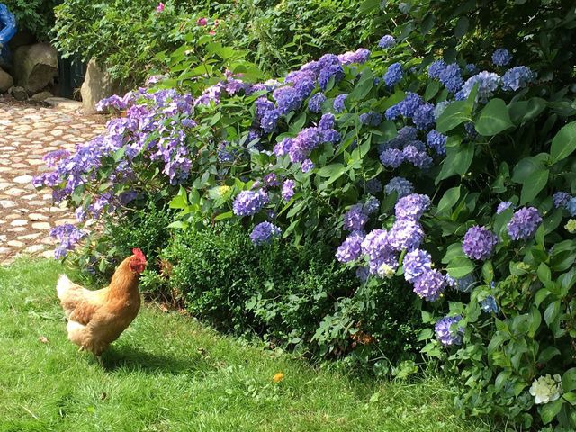 Ferienwohnung in Gro&szlig; Wittensee - Hoheluft am Wittensee Apt. 3 - Bild 21