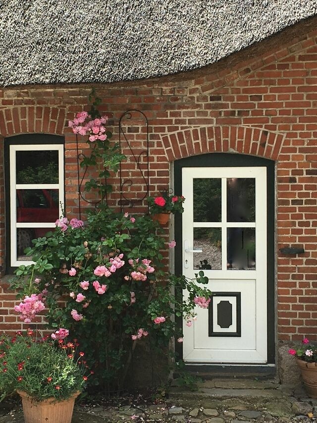 Ferienwohnung in Gro&szlig; Wittensee - Hoheluft am Wittensee Apt. 2 - Bild 14