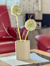 Ferienwohnung in Fehmarn OT Staberdorf - "Landhaus Voss" Typ 2 Nr.5 - Bild 5