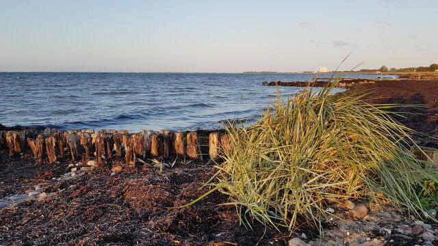 Ferienwohnung in Fehmarn OT Staberdorf - Fehmarn-Residenz - Bild 21