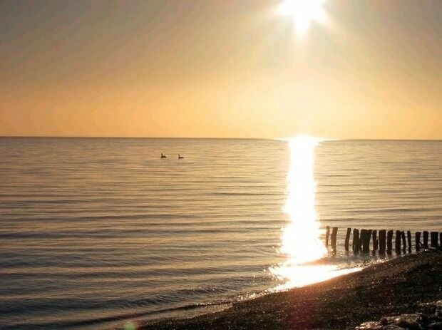 Ferienwohnung in Gr&ouml;mitz - Haus Meeresbrise - Whg. 12, Top-Lage 1 mit Meeresblick,S&uuml;dlage - Bild 14