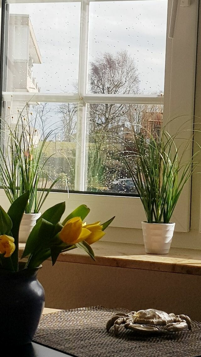 Ferienwohnung in Gr&ouml;mitz - Fienchen - Helle, komfortable Ferienwohnung zum Wohlf&uuml;hlen mit kurzem Weg zu Strand und Promenade - Bild 18