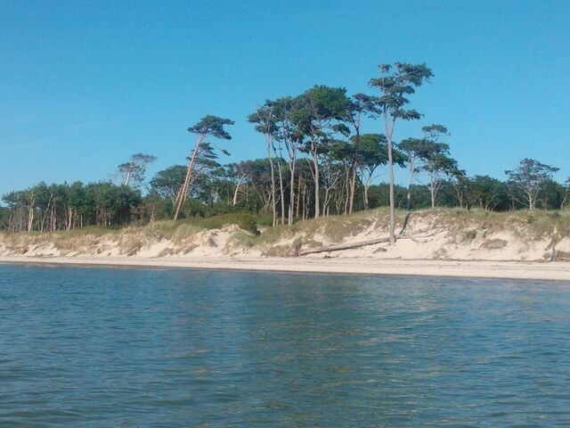 Ferienwohnung in Prerow - FeWo Abendsonne - Bild 21