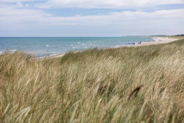 Ferienwohnung in Dierhagen - DER ST&Ouml;RTEBEKER - "Apartment Wustrow" | Apartments hinter den D&uuml;nen - Bild 18
