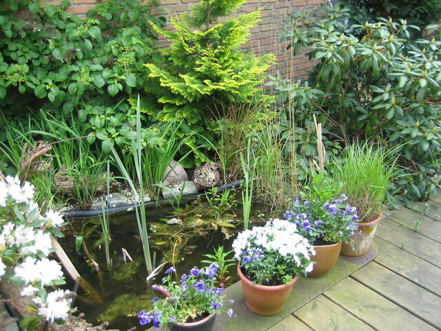 Ferienwohnung in Sch&ouml;nberg - Wichmann, Ursula & Axel - Bild 18