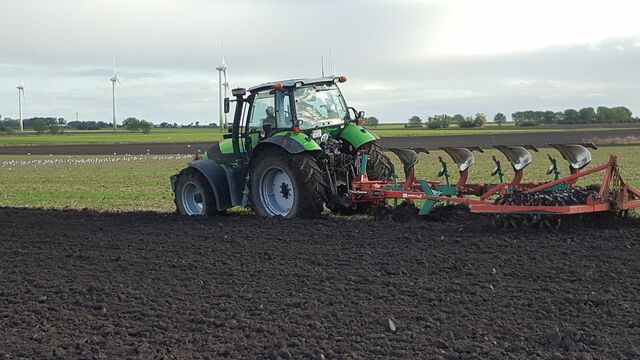 Ferienwohnung in Fehmarn OT Bannesdorf - Ferienhaus Am Feld, Whg. "Weizen" - Bild 9