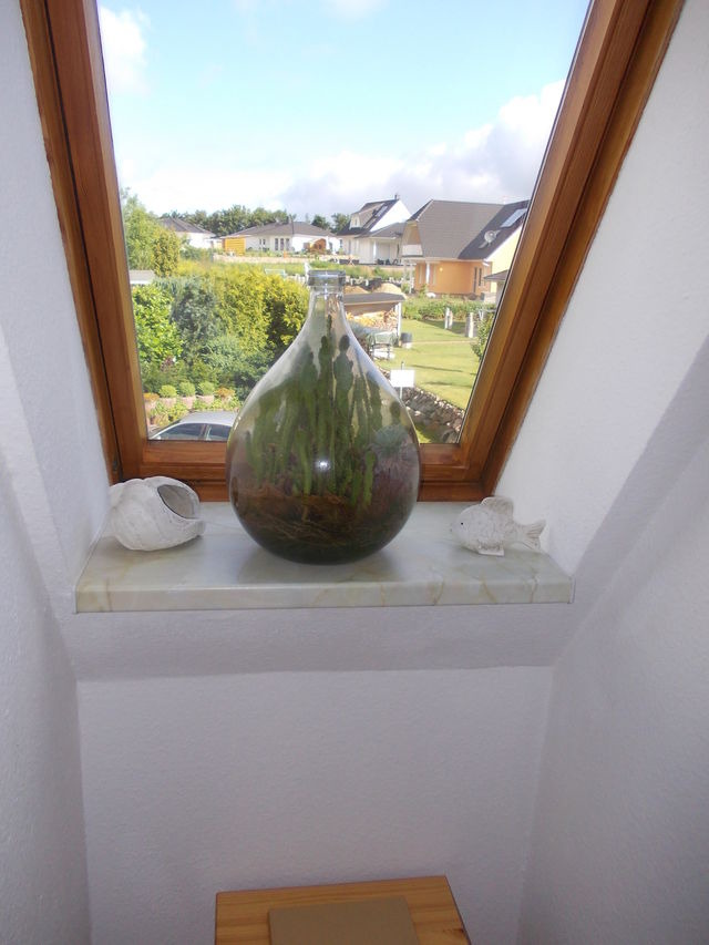 Ferienhaus in Marlow - Finnh&auml;user am Vogelpark - Haus Andrea - Bild 12