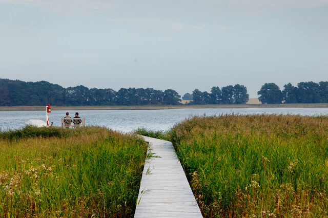 Ferienwohnung in Neuenkirchen - Ferienwohnung 2 mit sch&ouml;nem Seeblick - Bild 16