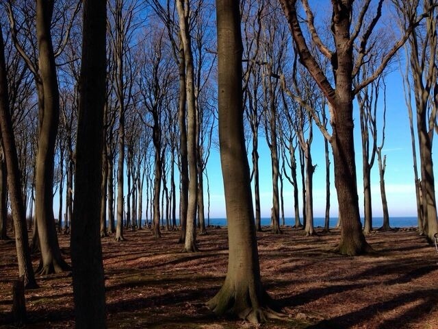 Ferienwohnung in B&ouml;rgerende - Baltic Dreams - Residenz am Meer 08 - Bild 14