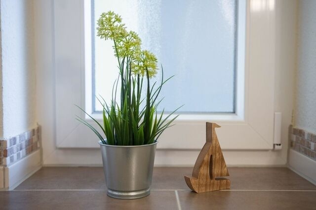 Ferienwohnung in Dahme - Haus Meeresgl&uuml;ck Seemuschel - Bild 15