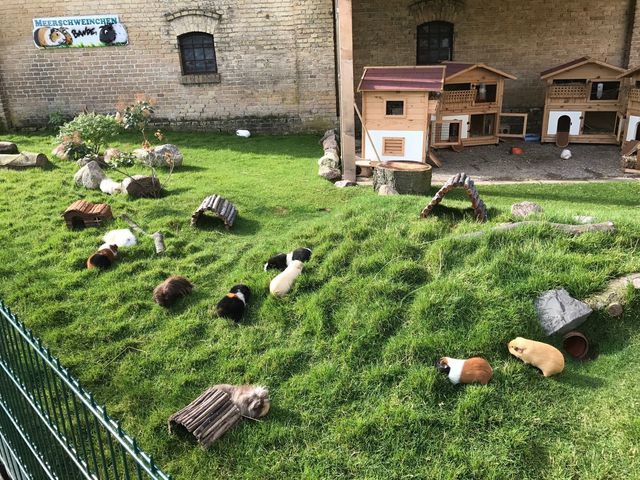 Ferienhaus in Fehmarn OT Staberdorf - Reetdachhaus 5, inkl. 2 Parkpl&auml;tze - Bild 22