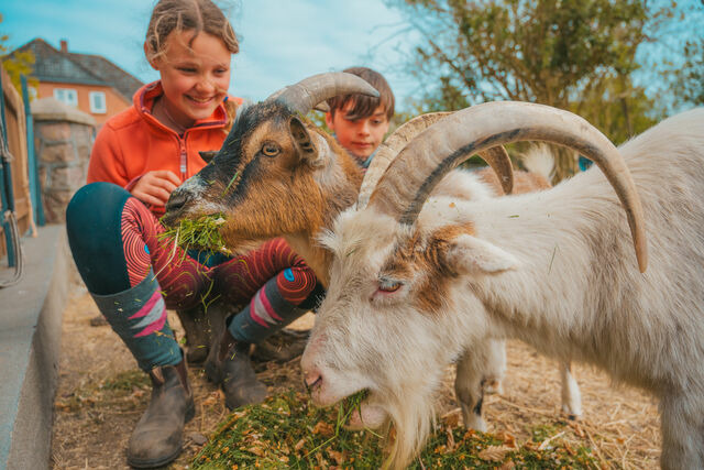 Doppelzimmer in Fehmarn OT Westermarkelsdorf - L&uuml;ftchen - Bild 10