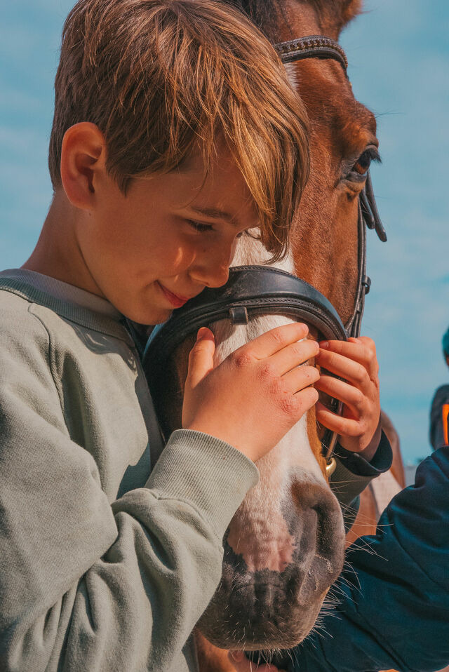 Doppelzimmer in Fehmarn OT Westermarkelsdorf - L&uuml;ftchen - Bild 11