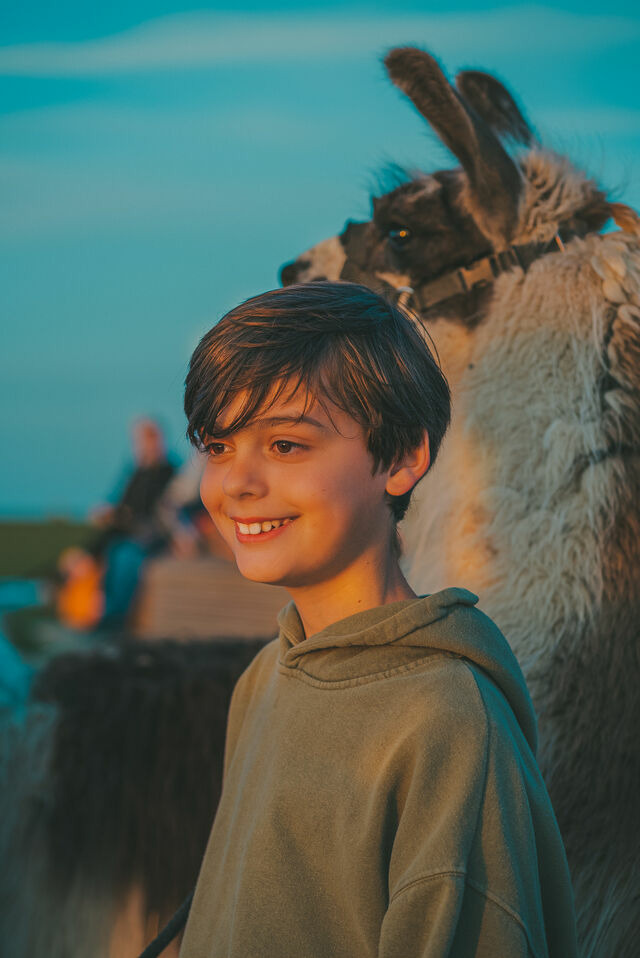 Doppelzimmer in Fehmarn OT Westermarkelsdorf - L&uuml;ftchen - Bild 24