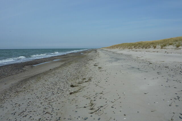 Ferienwohnung in Prerow - FeWo Leuchtturm - Heuser Prerow - Bild 17