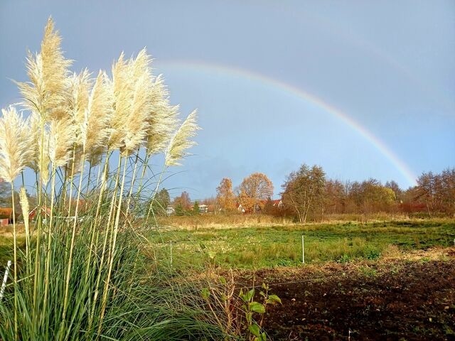 Ferienwohnung in Prerow - FeWo Leuchtturm - Heuser Prerow - Bild 18