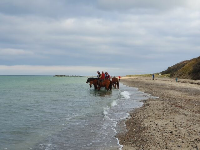 Ferienwohnung in Ribnitz-Damgarten - Ferienhof SchilfMeer - Fewo "Heuboden" - Bild 24