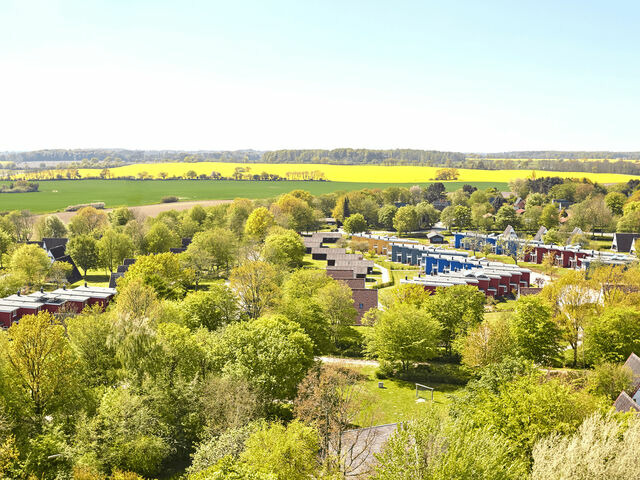 Ferienhaus in Damp - Premiumhaus in Damp der Ostsee - Bild 8