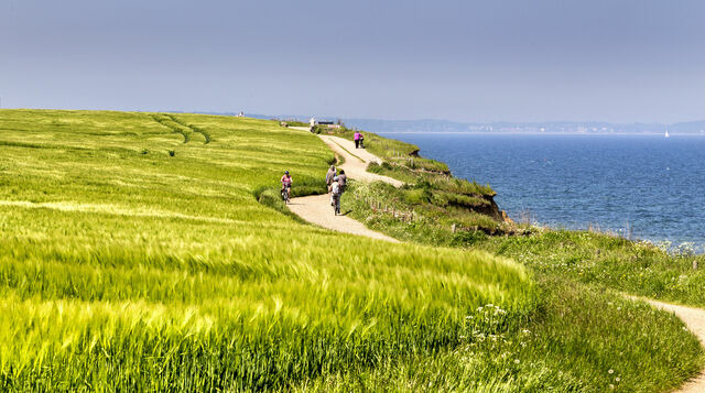 Ferienwohnung in Boltenhagen - Ferienhaus "An der Steilk&uuml;ste" Whg. 5 - Bild 16