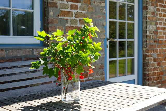 Ferienhaus in Gelting - Paulsen H&auml;uschen - Schloss Gelting - Bild 2