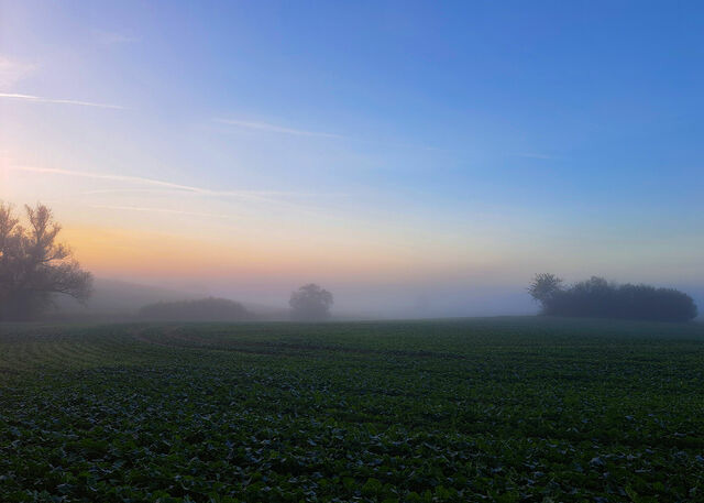 Ferienwohnung in Carinerland - Fewo Kerzenzimmer - M&auml;rchen aus Wachs und Flamme - Bild 16