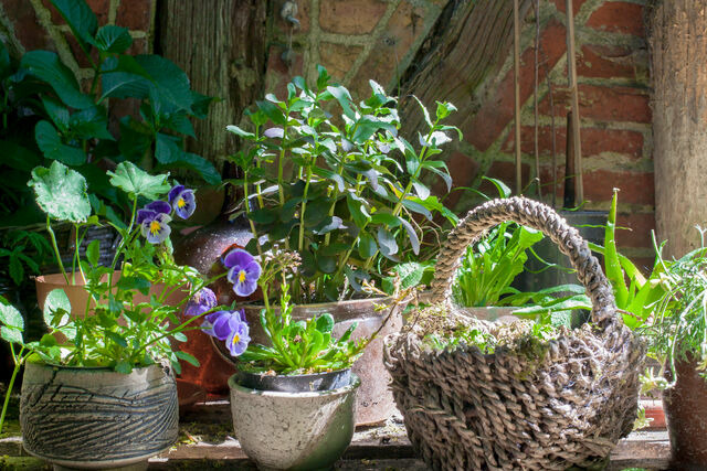 Ferienwohnung in Carinerland - Fewo Kerzenzimmer - M&auml;rchen aus Wachs und Flamme - Bild 25