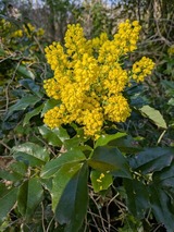 Ferienwohnung in Carinerland - Wagen am Rande der Welt - Bild 21