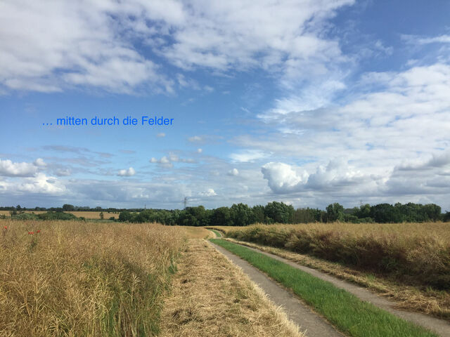 Ferienwohnung in Wendtorf - Ap. Lachm&ouml;we - Haus Nordlichter - Bild 15